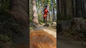 Video post by @gopro on YouTube