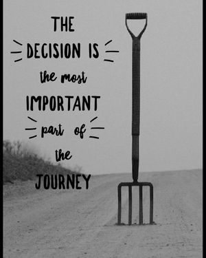 Image post by @kerrileewalsh on Instagram