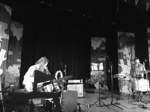 Image post by @treefortfest on Instagram