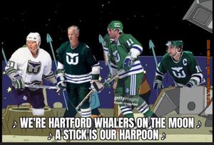 Image post by @hockeyfights on Instagram