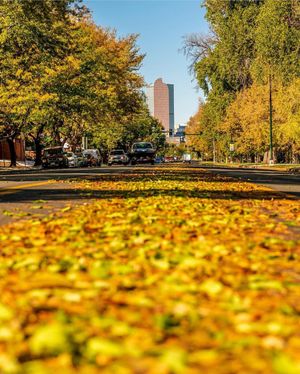 Image post by @denver on Instagram