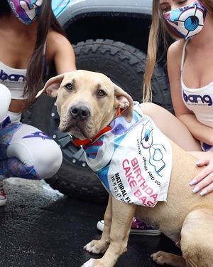 Video post by @bangenergy.ceo on Instagram