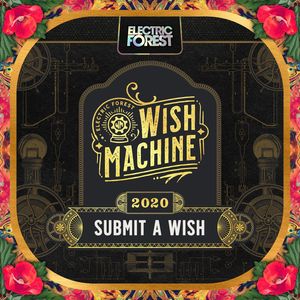 Image post by @electric_forest on Instagram