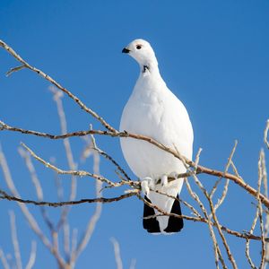 Image post by @nationalparkservice on Instagram