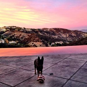 Image post by @therealcarlospena on Instagram