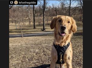 Image post by @fargoparks on Instagram