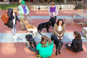 Image post by @uofsclaw on Instagram