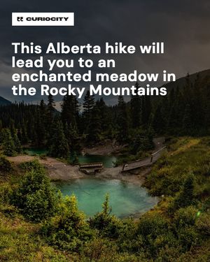Image post by @curiocitycalgary on Instagram