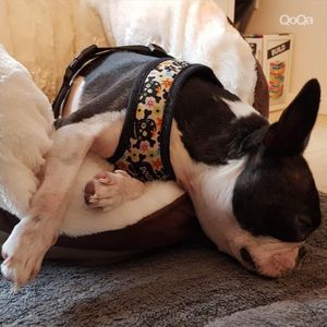 Image post by @qoqa_schweiz on Instagram