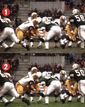 Image post by @mtlalouettes on Instagram