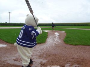 Image post by @CarltonTheBear on Twitter