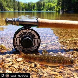 Image post by @navigationbrewingco on Instagram