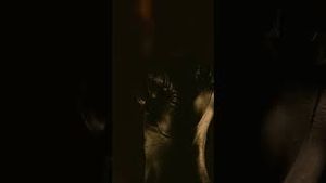 Video post by @streamonmax on YouTube
