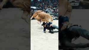Video post by @pbr on YouTube