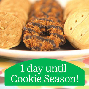 Image post by @sdgirlscouts on Instagram