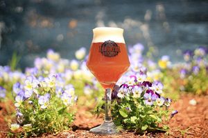 Image post by @navigationbrewingco on Instagram