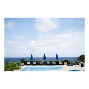 Image post by @truegoatphoto on Instagram