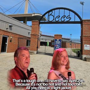 Image post by @burlington_bees on Instagram