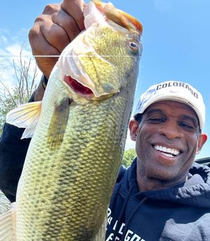 Image post by @deionsanders on Instagram