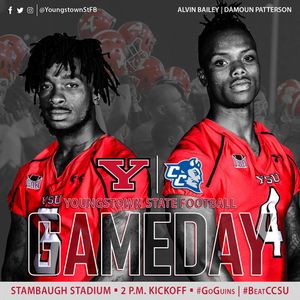 Image post by @youngstownstfb on Instagram