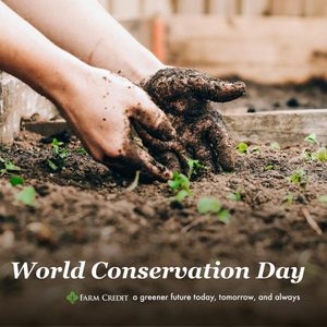 Image post by @farmcredit on Instagram