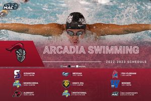 Image post by @arcadia_swim on Instagram