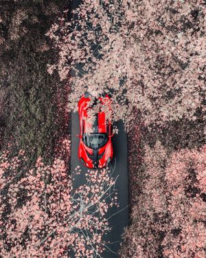 Image post by @lotuscars on Instagram