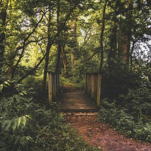 Image post by @_matthewcletus on Instagram