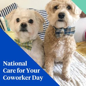Image post by @nationwide on Instagram