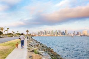 Image post by @SDlifechanging on Twitter