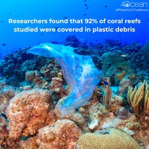 Image post by @4ocean on Instagram