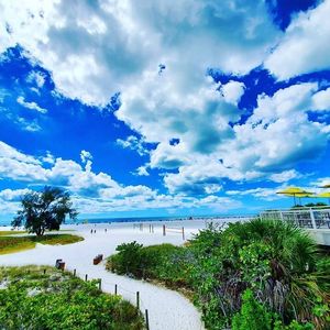 Image post by @visitsarasotacounty on Instagram