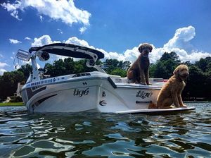 Image post by @tigeboats on Instagram