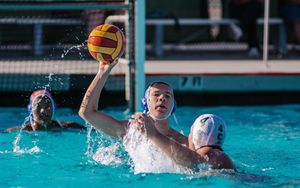 Image post by @niko.nef on Instagram