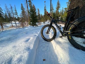 Image post by @mfgcross on Instagram