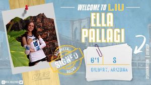 Image post by @liu_volleyball on Instagram