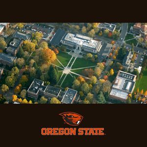 Image post by @beavergym on Instagram