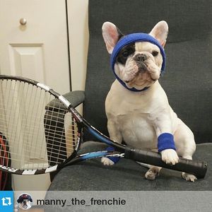 Image post by @miamiopen on Instagram