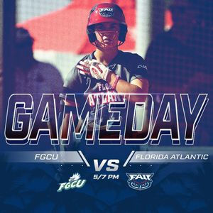 Image post by @fausoftball on Instagram