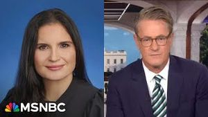 Video post by @msnbc on YouTube