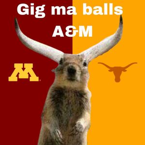 Image post by @barstoolgophers on Instagram
