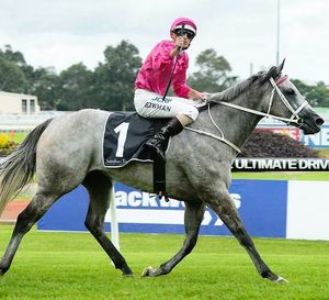 Image post by @australianturfclub on Instagram