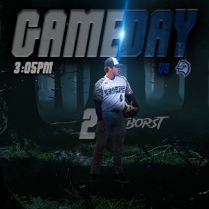 Image post by @duluthhuskies on Instagram