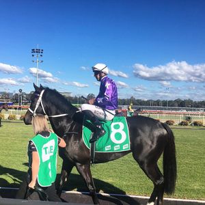 Image post by @australianturfclub on Instagram