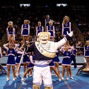 Image post by @cosmo_cougar on Instagram