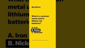 Video post by @blackrock on YouTube