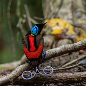 Image post by @discovery on Instagram