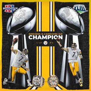 Image post by @steelers on Instagram