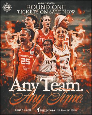 Image post by @ConnecticutSun on Twitter