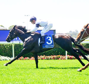 Image post by @australianturfclub on Instagram